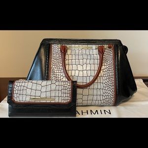 Brahmin Arden Satchel and Checkbook Wallet